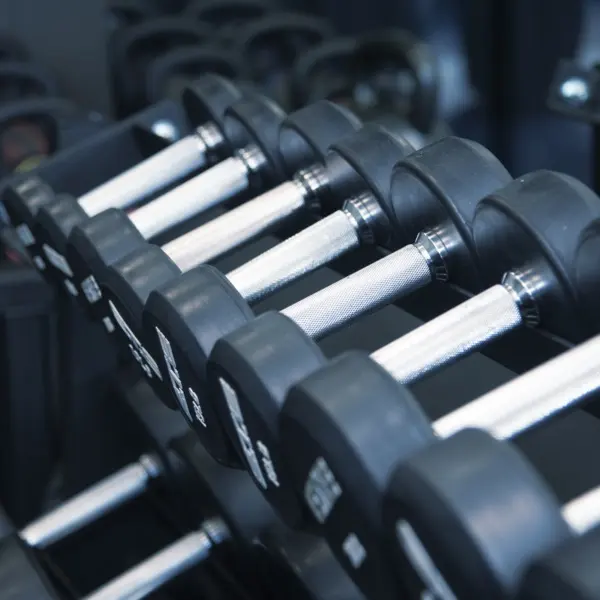Personalized Workout Program cover with a dumbbell rack